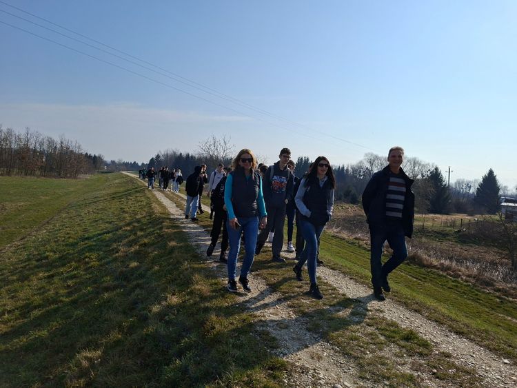 Rázsósok túrája a Dobogó-erdőbe, a tízmillió tőzike birodalmába