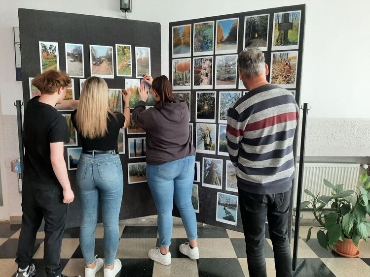 FENNTARTHATÓSÁGI TÉMAHÉT - 1. nap - AZ ERDŐ - Íme, kész a kiállítás...